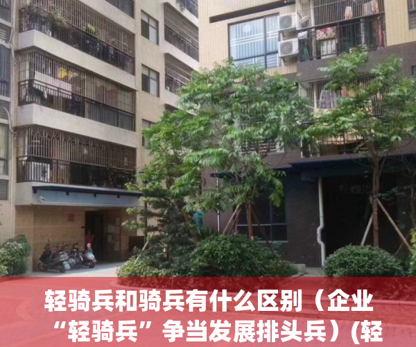 轻骑兵和骑兵有什么区别（企业“轻骑兵”争当发展排头兵）(轻骑兵怎么样)