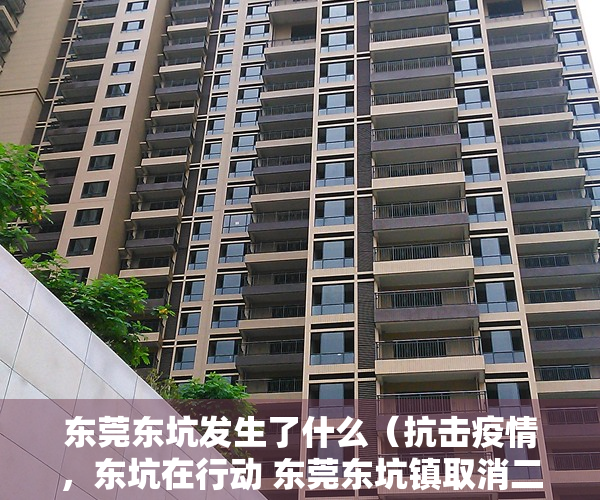 东莞东坑发生了什么（抗击疫情，东坑在行动 东莞东坑镇取消二月初二“卖身节”节庆活动）