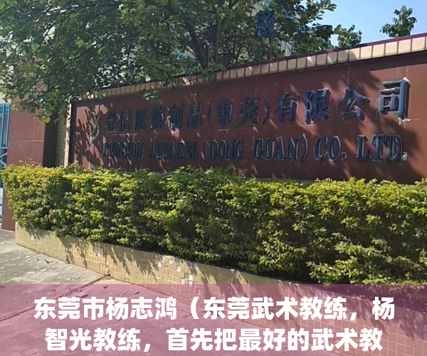 东莞市杨志鸿（东莞武术教练，杨智光教练，首先把最好的武术教给你！）(广东 杨志)