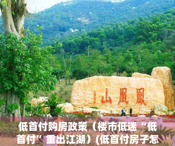 低首付购房政策（楼市低迷“低首付”重出江湖）(低首付房子怎么回事,可以买吗)