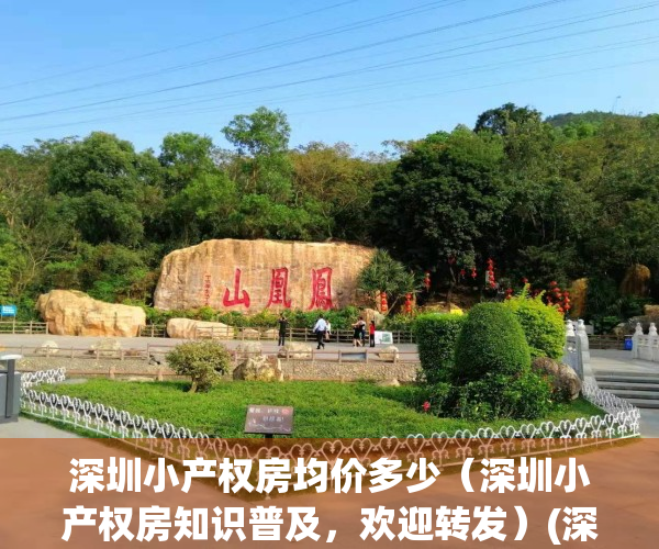 深圳小产权房均价多少（深圳小产权房知识普及，欢迎转发）(深圳小产权 价格)