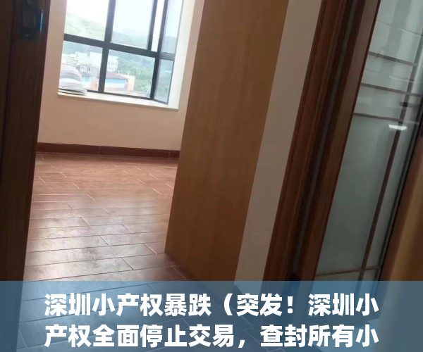 深圳小产权暴跌（突发！深圳小产权全面停止交易，查封所有小中介！）(深圳小产权怎么了)