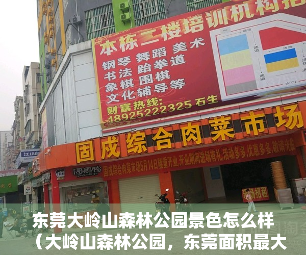 东莞大岭山森林公园景色怎么样（大岭山森林公园，东莞面积最大森林公园，林深树茂，山水尽揽怀中）