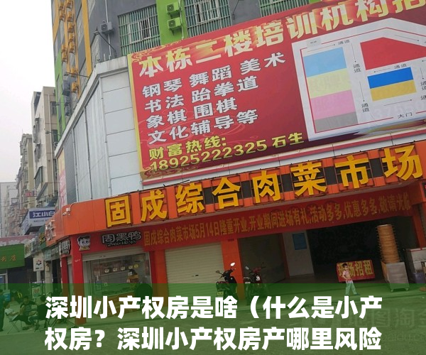 深圳小产权房是啥（什么是小产权房？深圳小产权房产哪里风险？）(深圳小产权房最新政策出台)