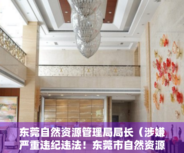 东莞自然资源管理局局长（涉嫌严重违纪违法！东莞市自然资源局黄江分局局长戴吉举接受审查调查）