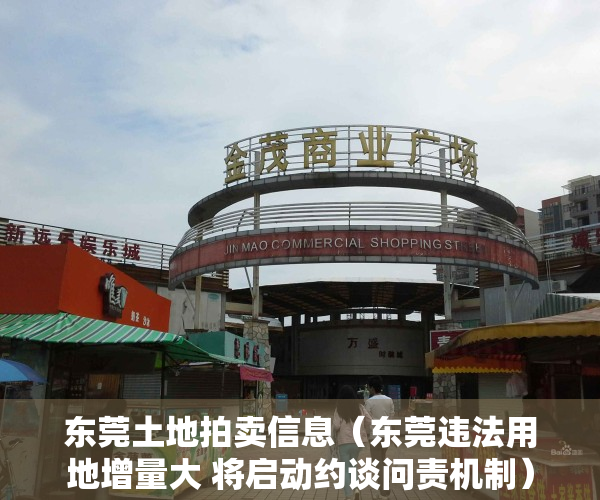 东莞土地拍卖信息（东莞违法用地增量大 将启动约谈问责机制）