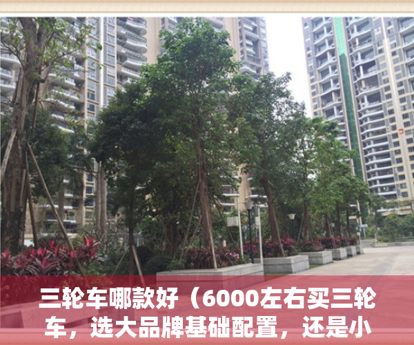 三轮车哪款好（6000左右买三轮车，选大品牌基础配置，还是小品牌高配？一文说清）
