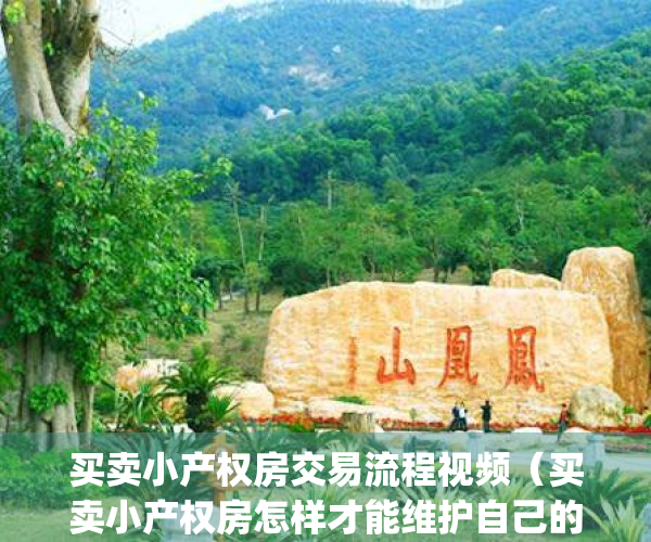 买卖小产权房交易流程视频（买卖小产权房怎样才能维护自己的权利）(卖小产权房子的流程)