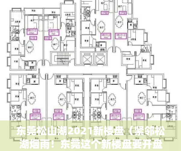 东莞松山湖2021新楼盘（紧邻松湖烟雨！东莞这个新楼盘要开盘了！）(东莞松山湖新楼盘房价)