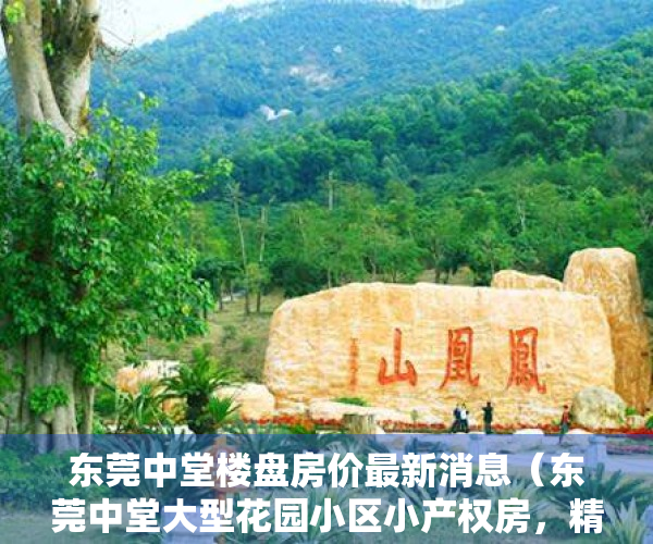 东莞中堂楼盘房价最新消息（东莞中堂大型花园小区小产权房，精装现房特价5980元，首付1成分期10年）