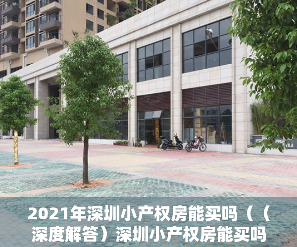 2021年深圳小产权房能买吗（（深度解答）深圳小产权房能买吗，有保障吗？）
