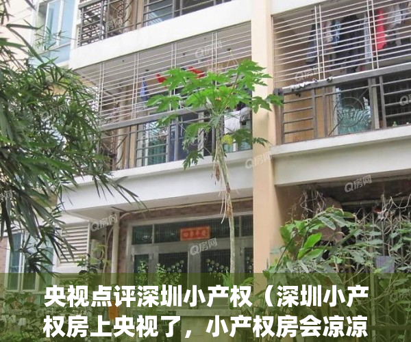 央视点评深圳小产权（深圳小产权房上央视了，小产权房会凉凉吗？）(央视报道深圳小产权房)
