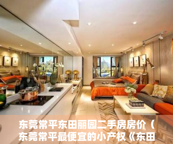 东莞常平东田丽园二手房房价（东莞常平最便宜的小产权《东田丽苑》常平镇中心村委房）