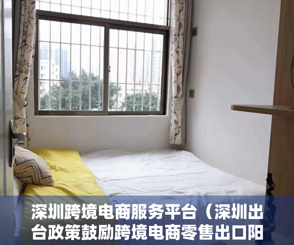 深圳跨境电商服务平台（深圳出台政策鼓励跨境电商零售出口阳光化申报 让跨境电商出口便利合规安全高效）