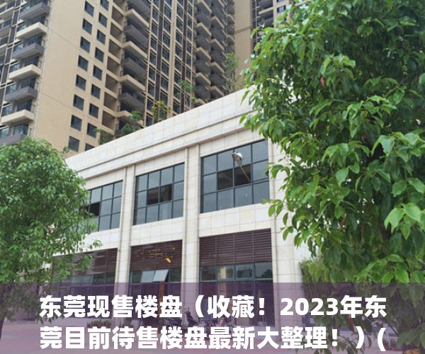 东莞现售楼盘（收藏！2023年东莞目前待售楼盘最新大整理！）(东莞2021在售楼盘)