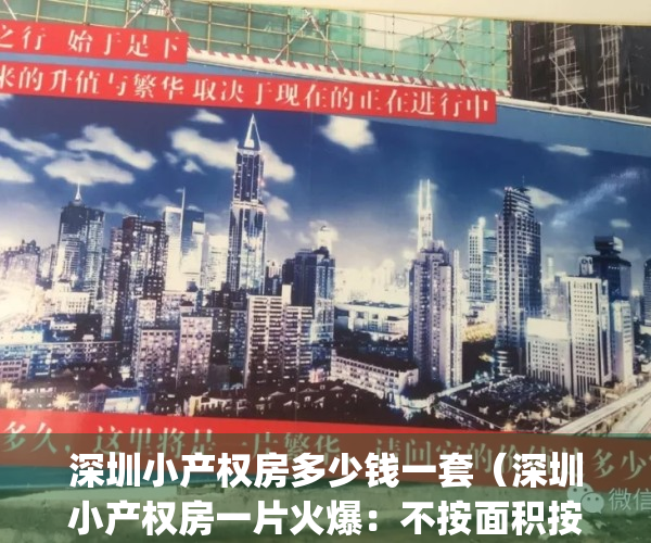 深圳小产权房多少钱一套（深圳小产权房一片火爆：不按面积按套卖）(深圳小产权房子价格)