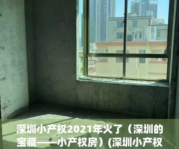 深圳小产权2021年火了（深圳的宝藏——小产权房）(深圳小产权房资讯)