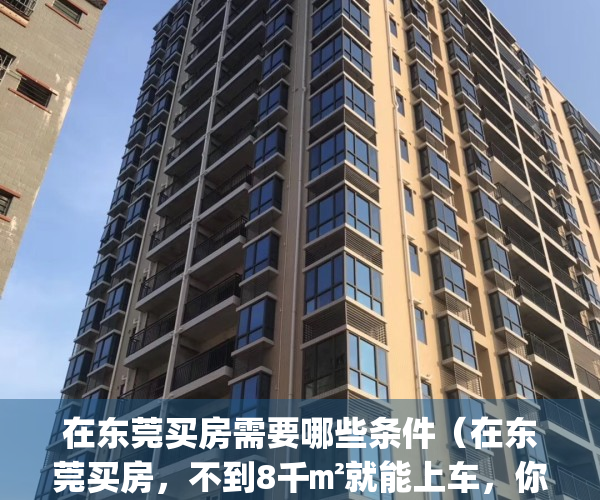 在东莞买房需要哪些条件（在东莞买房，不到8千㎡就能上车，你敢信？）(在东莞买房有什么要求)