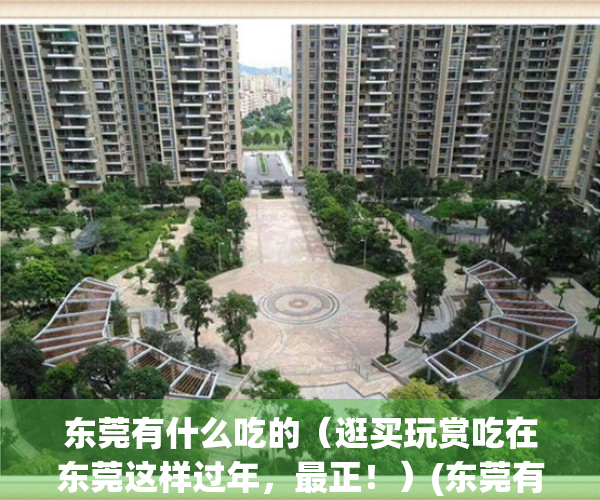 东莞有什么吃的（逛买玩赏吃在东莞这样过年，最正！）(东莞有什么好吃的东西)