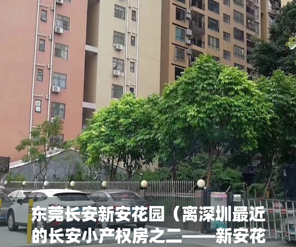 东莞长安新安花园（离深圳最近的长安小产权房之二——新安花园）(东莞长安新安花园怎么样)