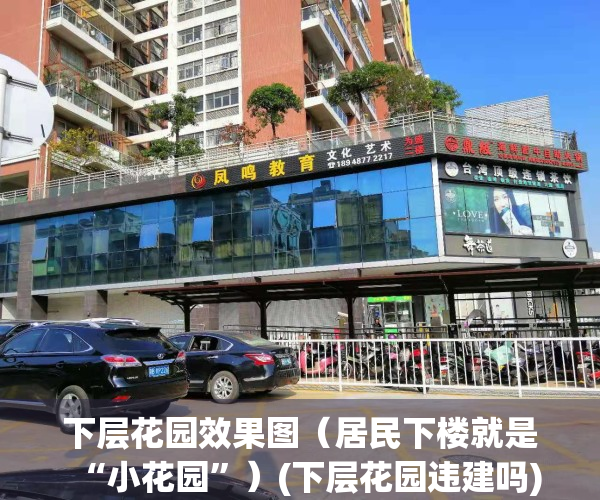 下层花园效果图（居民下楼就是“小花园”）(下层花园违建吗)