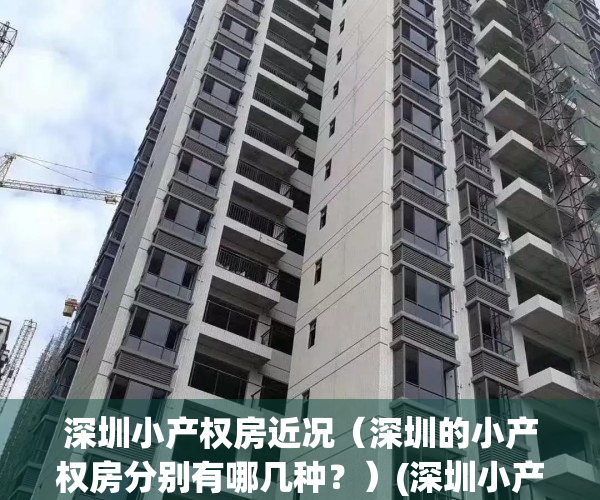 深圳小产权房近况（深圳的小产权房分别有哪几种？）(深圳小产权房介绍)