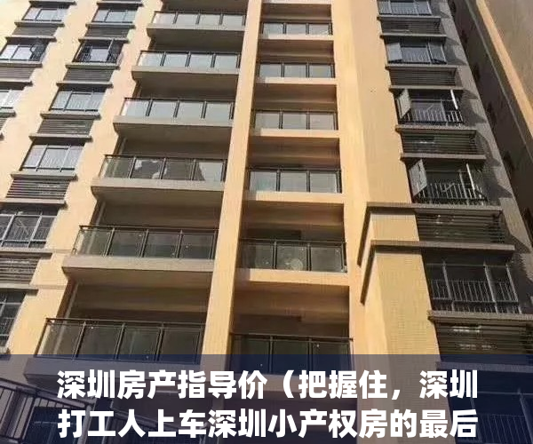 深圳房产指导价（把握住，深圳打工人上车深圳小产权房的最后机会！）(2021深圳小产权政策)