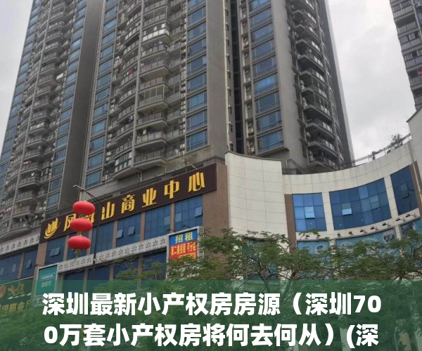 深圳最新小产权房房源（深圳700万套小产权房将何去何从）(深圳小产权房价2020最新价格)