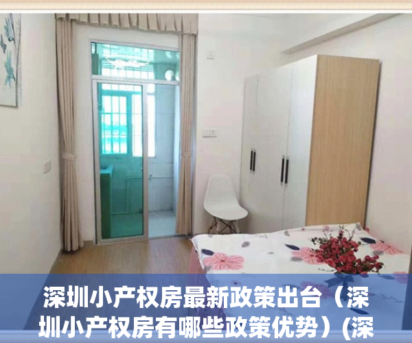 深圳小产权房最新政策出台（深圳小产权房有哪些政策优势）(深圳小产权房最新政策2021,深圳小产权房禁止)