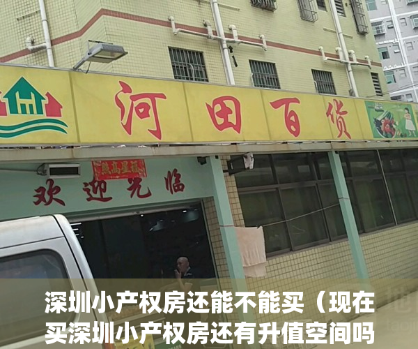 深圳小产权房还能不能买（现在买深圳小产权房还有升值空间吗？）(很多人问深圳小产权房现在还可以买吗)