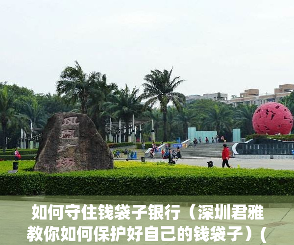 如何守住钱袋子银行（深圳君雅教你如何保护好自己的钱袋子）(你认为如何保护好自己的钱袋子)