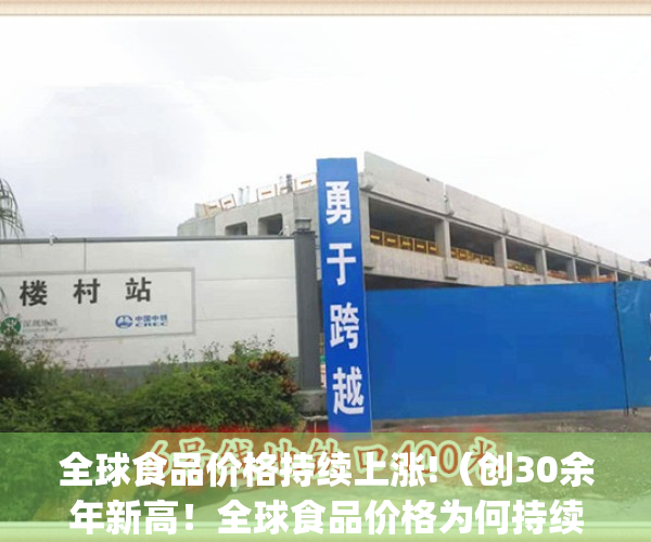 全球食品价格持续上涨!（创30余年新高！全球食品价格为何持续攀升？）(全球食品价格急速攀升)