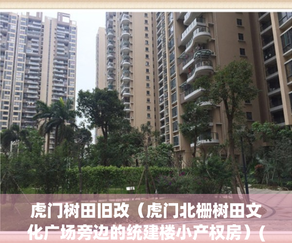 虎门树田旧改（虎门北栅树田文化广场旁边的统建楼小产权房）(虎门树田有什么好玩的)