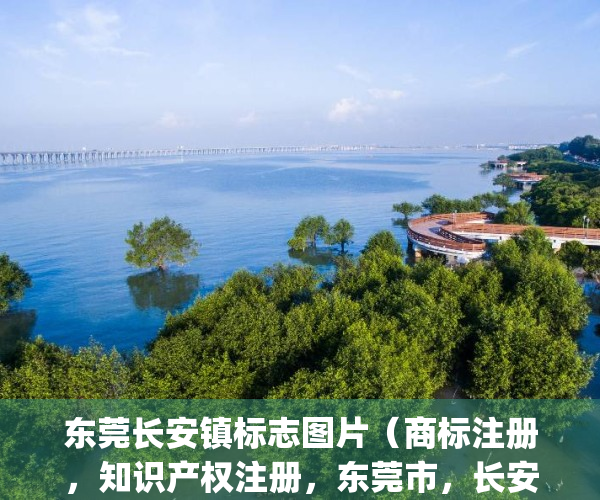 东莞长安镇标志图片（商标注册，知识产权注册，东莞市，长安镇）(东莞长安镇分布图)