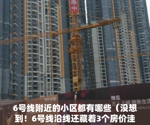 6号线附近的小区都有哪些（没想到！6号线沿线还藏着3个房价洼地，最低4字头！）