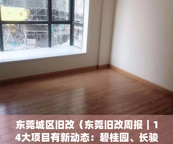 东莞城区旧改（东莞旧改周报｜14大项目有新动态：碧桂园、长骏等操刀）(东莞旧改最新政策)