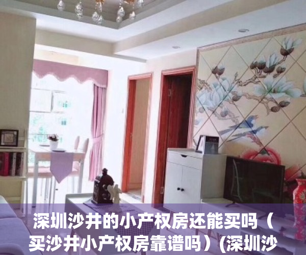 深圳沙井的小产权房还能买吗（买沙井小产权房靠谱吗）(深圳沙井小产权房符合两规有哪些?)