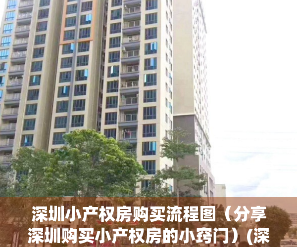 深圳小产权房购买流程图（分享深圳购买小产权房的小窍门）(深圳买小产权房怎么找房源)
