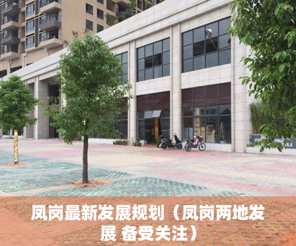 凤岗最新发展规划（凤岗两地发展 备受关注）