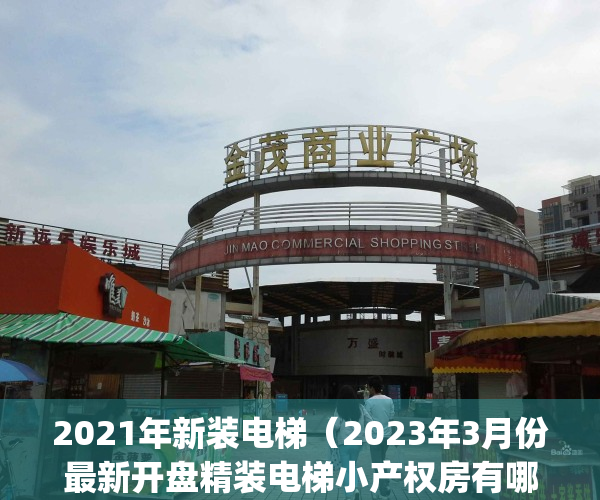 2021年新装电梯（2023年3月份最新开盘精装电梯小产权房有哪些）(2020年电梯加装政策)