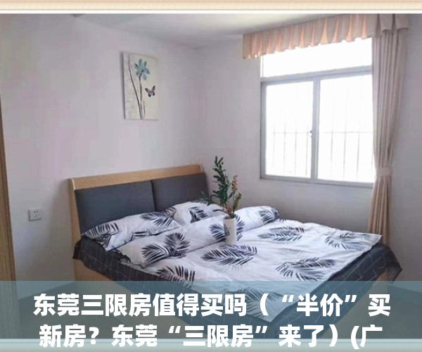 东莞三限房值得买吗（“半价”买新房？东莞“三限房”来了）(广东东莞开展三限房试点)