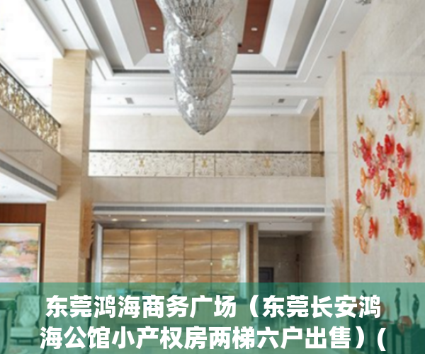东莞鸿海商务广场（东莞长安鸿海公馆小产权房两梯六户出售）(东莞鸿海集团是做什么的?)