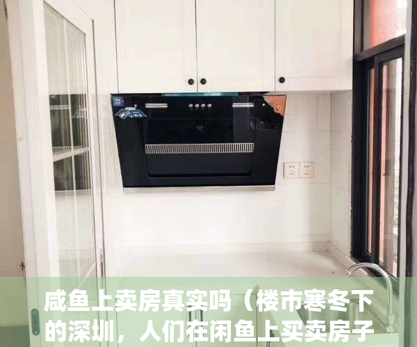 咸鱼上卖房真实吗（楼市寒冬下的深圳，人们在闲鱼上买卖房子）(闲鱼卖房子是真的吗)