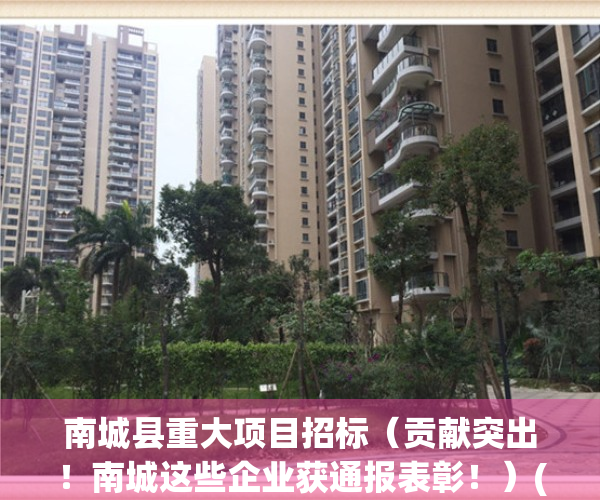 南城县重大项目招标（贡献突出！南城这些企业获通报表彰！）(南城县2035重点项目建设)