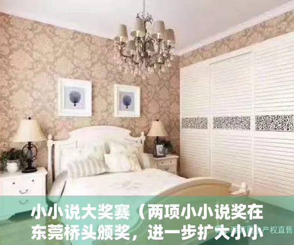 小小说大奖赛（两项小小说奖在东莞桥头颁奖，进一步扩大小小说特色文化品牌影响力）
