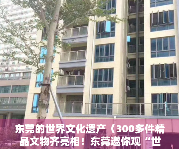 东莞的世界文化遗产（300多件精品文物齐亮相！东莞邀你观“世界航海五百年”）