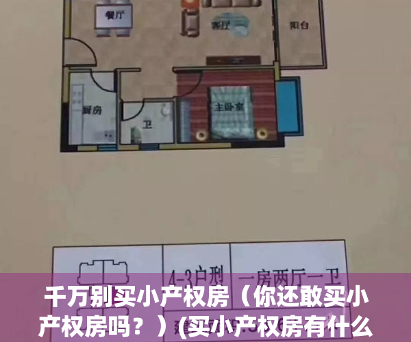 千万别买小产权房（你还敢买小产权房吗？）(买小产权房有什么不好)