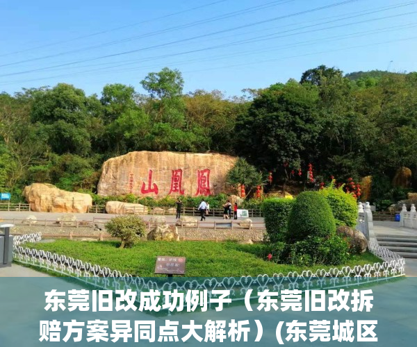 东莞旧改成功例子（东莞旧改拆赔方案异同点大解析）(东莞城区旧改)