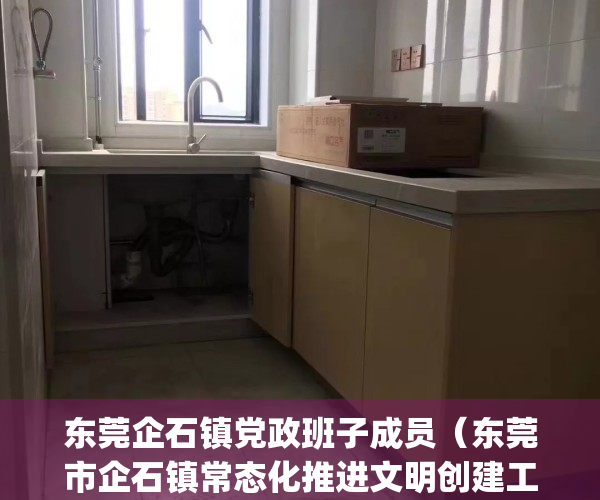 东莞企石镇党政班子成员（东莞市企石镇常态化推进文明创建工作）(东莞市企石镇政府领导分工表)