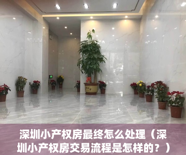 深圳小产权房最终怎么处理（深圳小产权房交易流程是怎样的？）(深圳小产权房交易整治风暴)